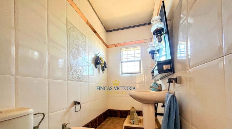 Murcia - Los Melenchones - 20000m2