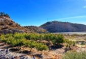 Finca rústica en venta en Águilas ref: TR102404 foto