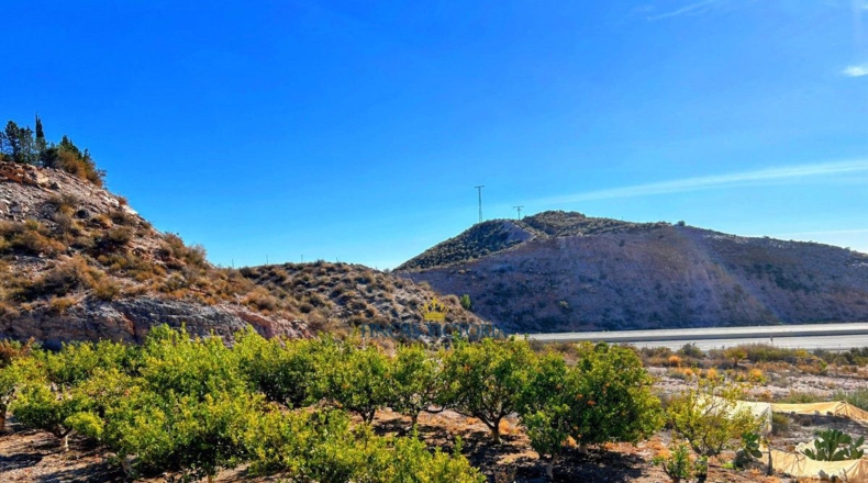 Murcia - Los Melenchones - 20000m2