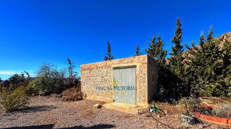 Murcia - Los Melenchones - 20000m2
