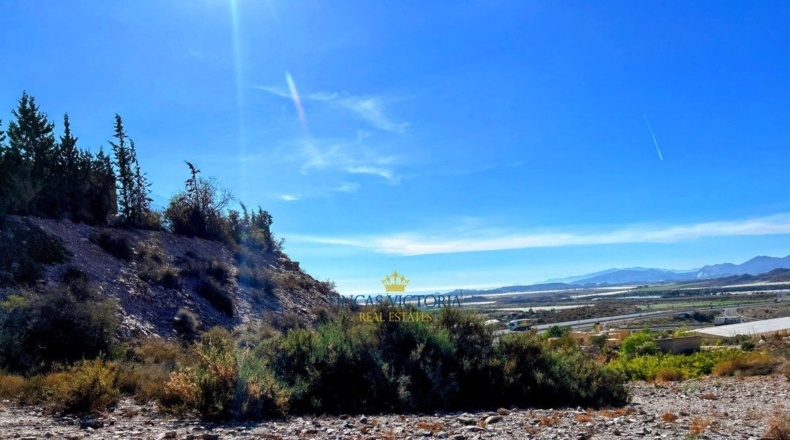 Murcia - Los Melenchones - 20000m2
