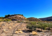 Finca rústica en venta en Águilas ref: TR102404 foto