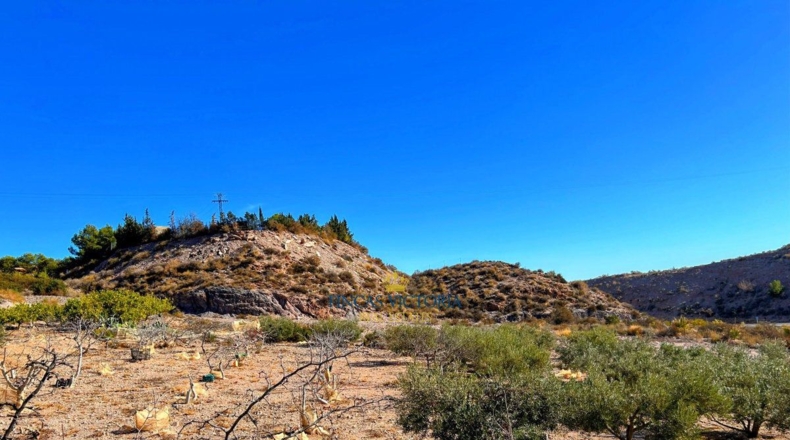 Murcia - Los Melenchones - 20000m2