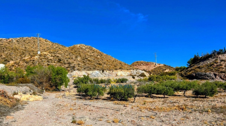 Murcia - Los Melenchones - 20000m2