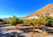 Finca rústica en venta en Águilas ref: TR102404 foto