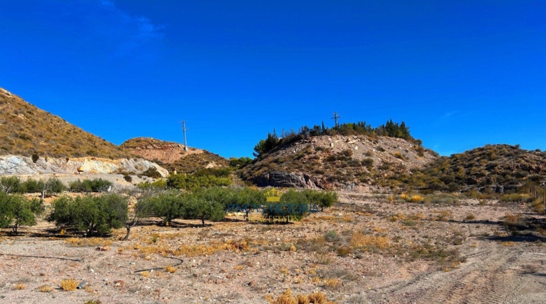 Murcia - Los Melenchones - 20000m2