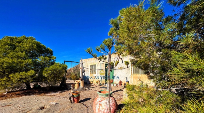 Murcia - Los Melenchones - 20000m2