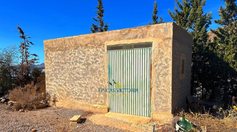 Murcia - Los Melenchones - 20000m2