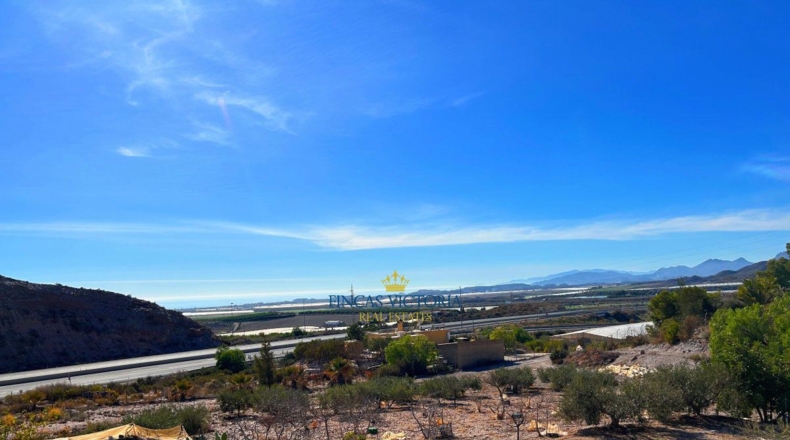 Murcia - Los Melenchones - 20000m2