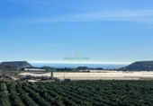 Finca rústica en venda a Àguiles ref.: TR106364 foto