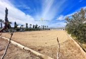 Finca rústica en venda a Àguiles ref.: TR106364 foto