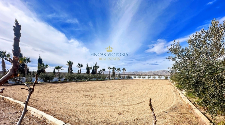 Múrcia - El Cocón - 7881m2