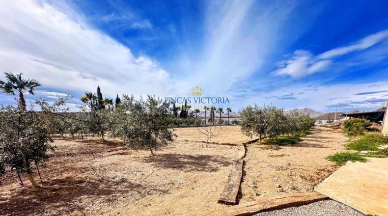 Múrcia - El Cocón - 7881m2