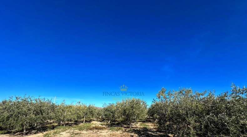 Múrcia - El Cocón - 7881m2
