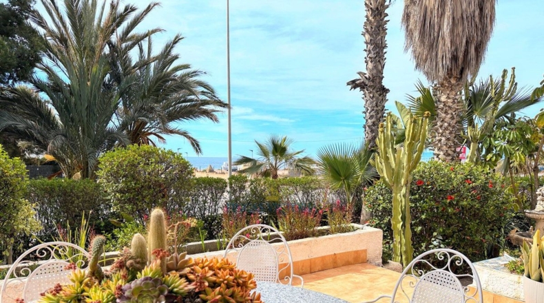 Murcia - Calabardina - 292m2