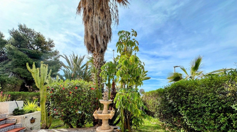 Murcia - Calabardina - 292m2
