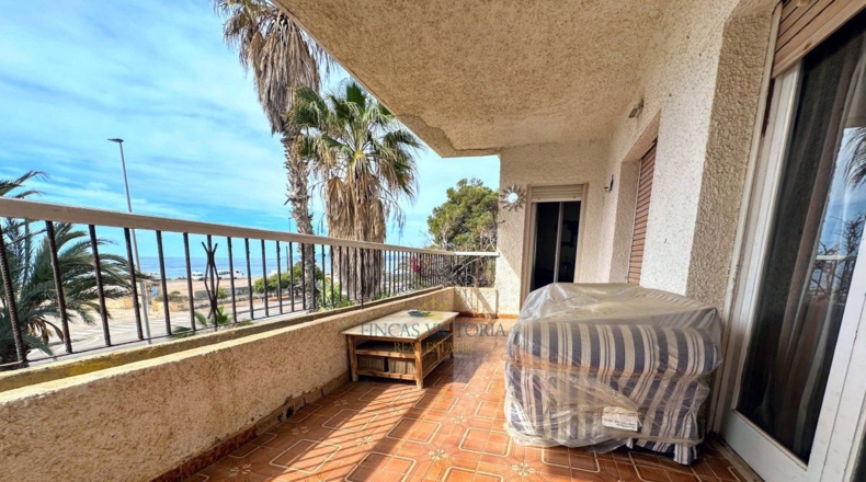 Murcia - Calabardina - 292m2