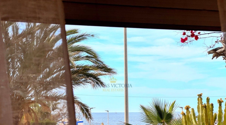 Murcia - Calabardina - 292m2