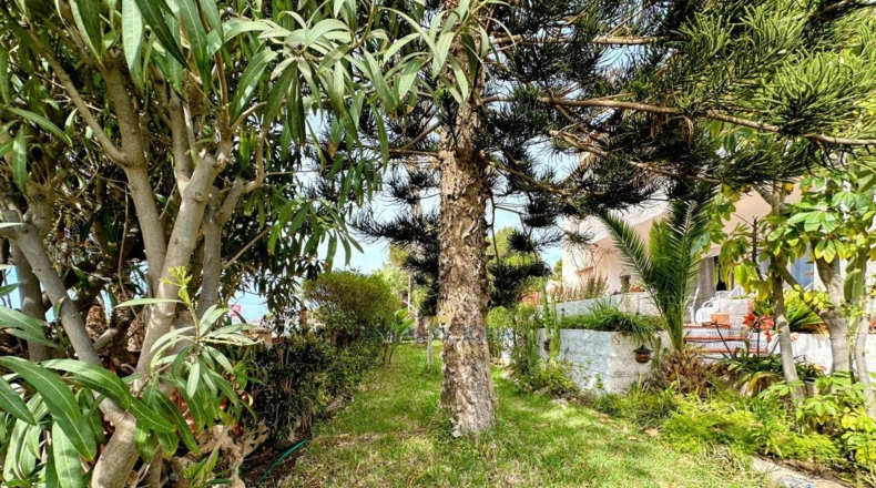 Murcia - Calabardina - 292m2