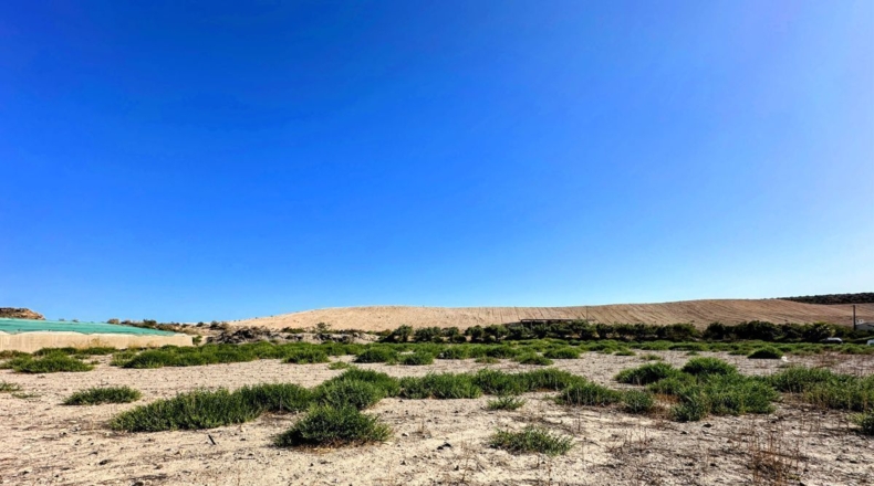 Murcia - El Cocón - 14380m2