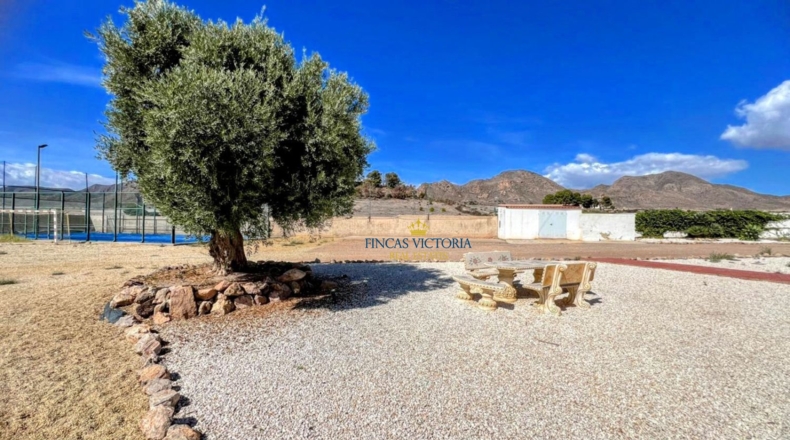 Murcia - Águilas - 4345m2