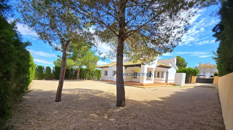 Murcia - Fuente Álamo de Murcia - 850m2