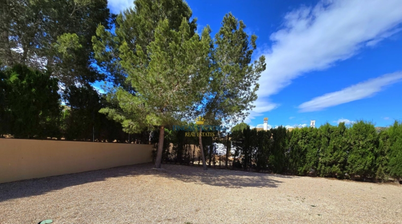 Murcia - Fuente Álamo de Murcia - 850m2
