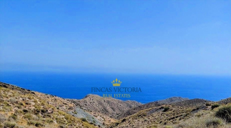 Almería - Cuevas del Almanzora - 17619m2