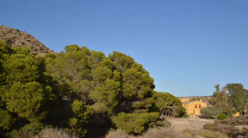Murcia - Águilas - 300000m2