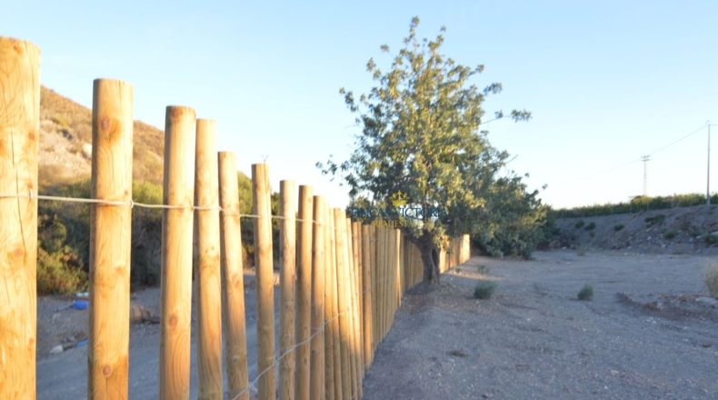 Murcia - Águilas - 24000m2