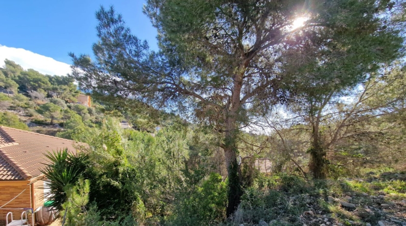 Barcelona - Rocacrespa - 830m2