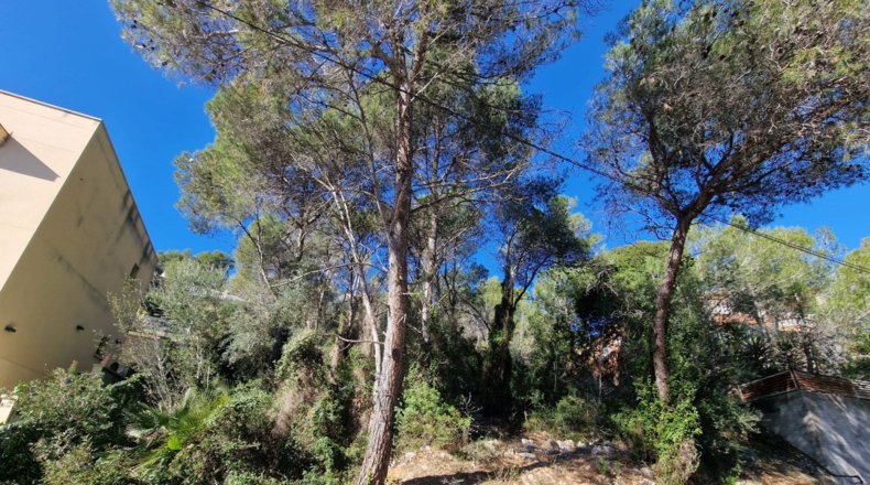 Barcelona - Rocacrespa - 830m2