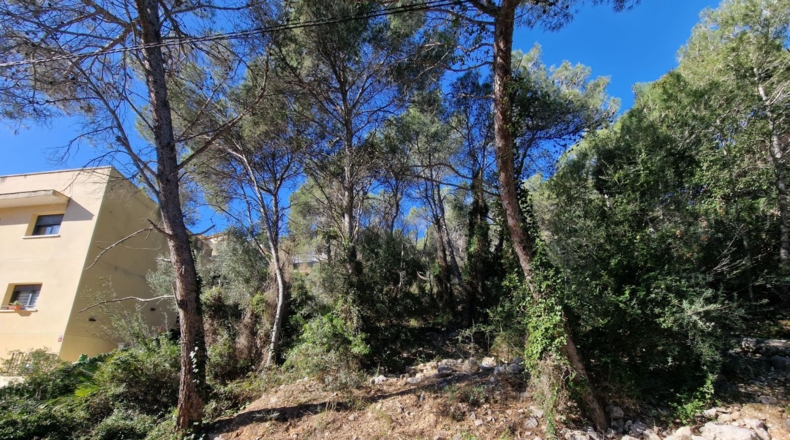 Barcelona - Rocacrespa - 830m2