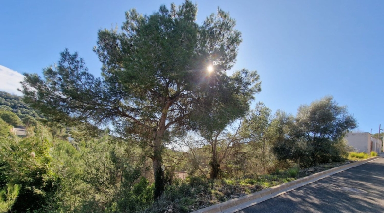 Barcelona - Rocacrespa - 830m2