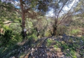 Suelo urbano en venta en Cubelles ref: TR35899 foto
