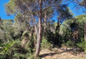 Suelo urbano en venta en Cubelles ref: TR35899 foto