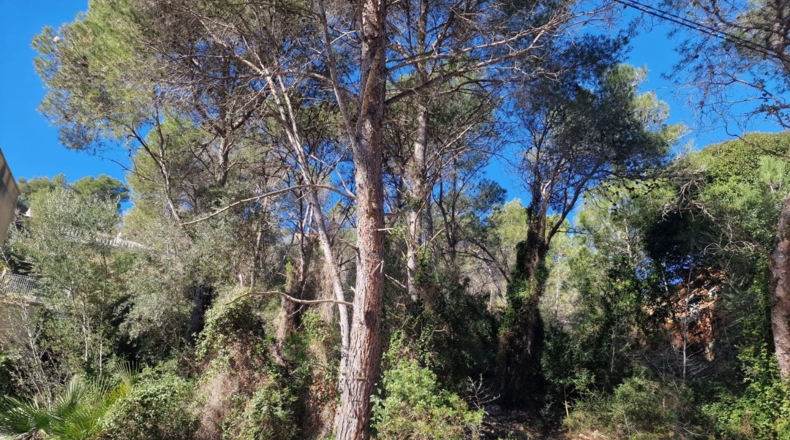 Barcelona - Rocacrespa - 830m2