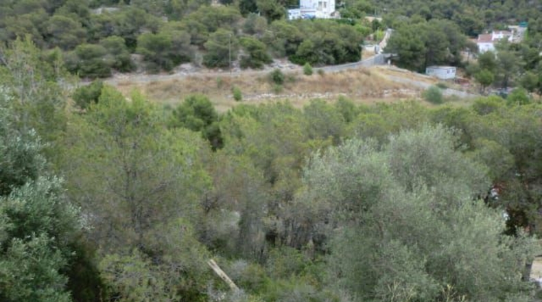 Barcelona - Rocacrespa - 830m2
