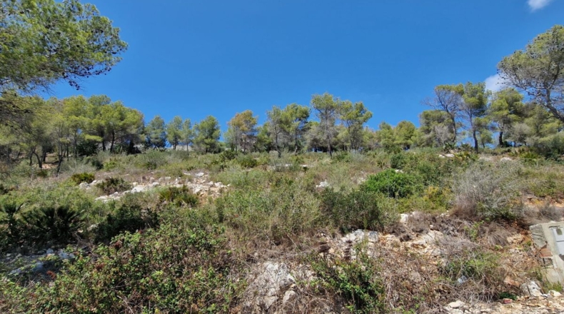 Barcelona - la Gornal - 1068m2