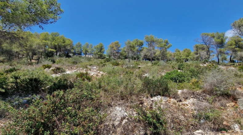 Barcelona - la Gornal - 1068m2