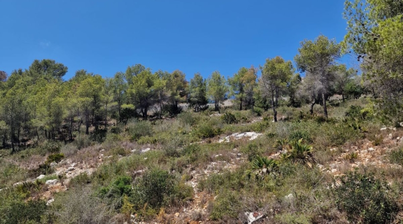 Barcelona - la Gornal - 1068m2