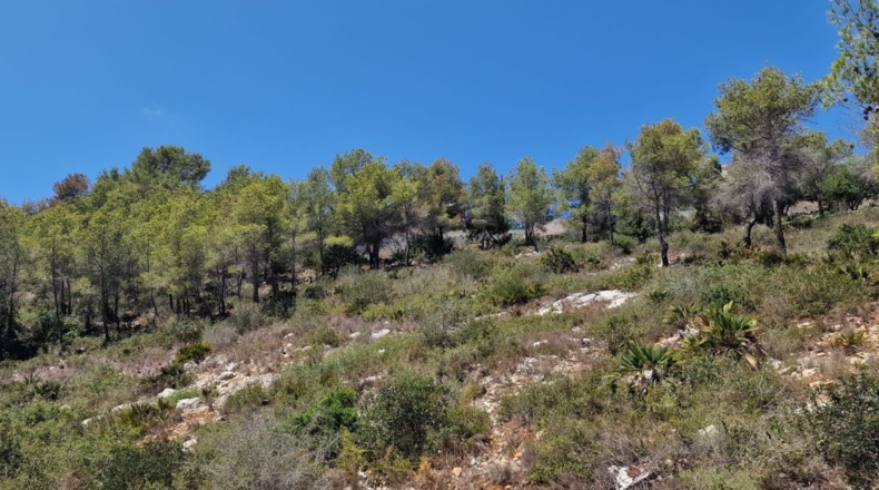 Barcelona - la Gornal - 1068m2