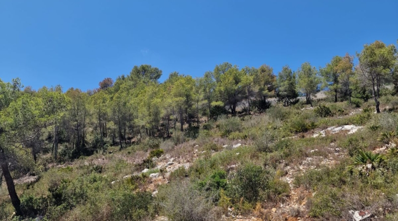 Barcelona - la Gornal - 1068m2