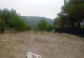 Terreny no urbanitzable en venda a la España, Barberà de la Conca, ref.: TR99294 foto