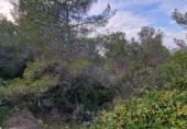 Parcel·la urbanitzable en venda a Calafell ref.: TR102741 foto