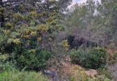 Parcel·la urbanitzable en venda a Calafell ref.: TR102741 foto