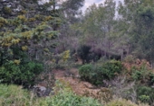 Parcel·la urbanitzable en venda a Calafell ref.: TR102741 foto