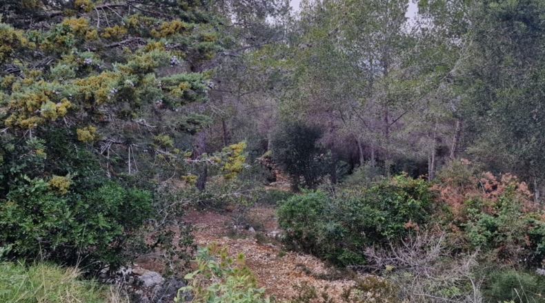 Tarragona - Calafell - 1273m2