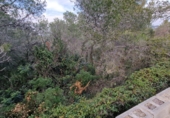 Parcel·la urbanitzable en venda a Calafell ref.: TR102741 foto