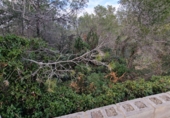 Parcel·la urbanitzable en venda a Calafell ref.: TR102741 foto